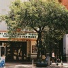 neighborhood storefronts with large trees on path